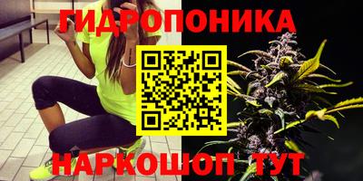 герыч Будённовск