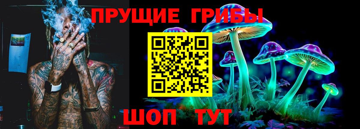 Галлюциногенные грибы MAGIC MUSHROOMS  Вход с VPN  Киселёвск 